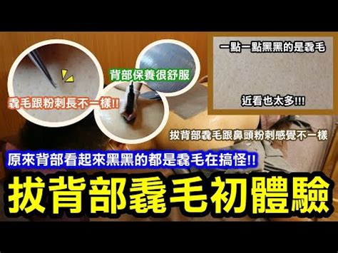 背後長毛|哪些長毛代表一生富貴？又有哪些會招來壞運？